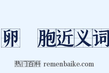卵細胞近义词是什么意思的图片